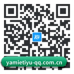 Apple 移动终端版 二维码